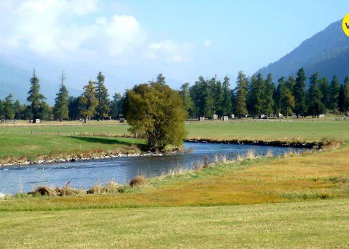 Marmotta * Celerina/Schlarigna